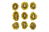dried kiwi