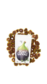 dried fig