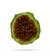 dried fig